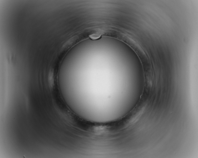 X0000094220216200711091302