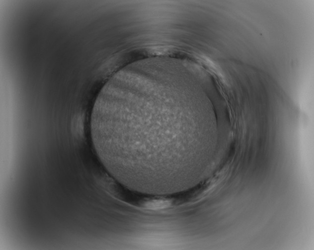 X0000094220217200711091302