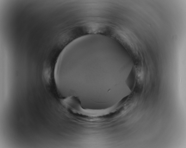 X0000094220219200711091302