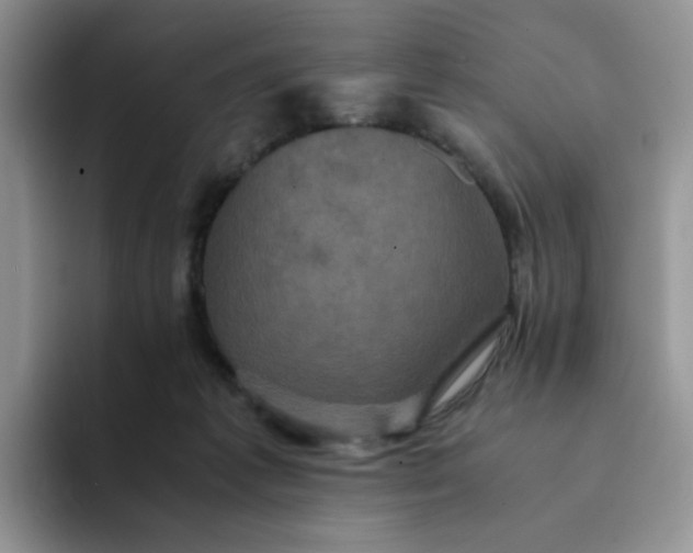 X0000094220221200711091302