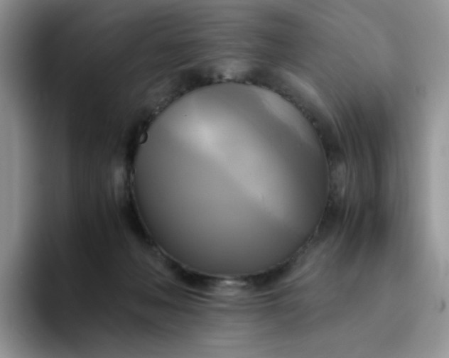 X0000094220222200711091302