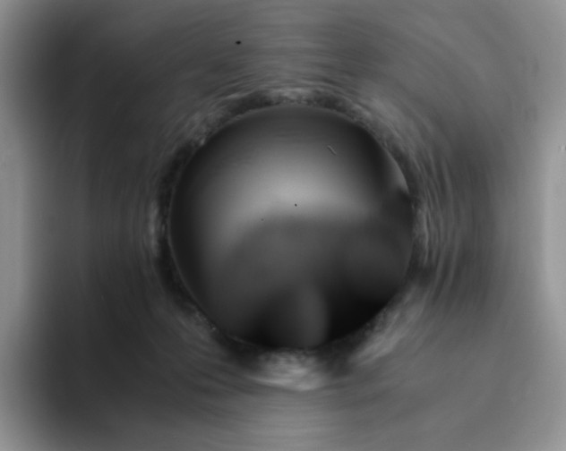 X0000094220223200711091302