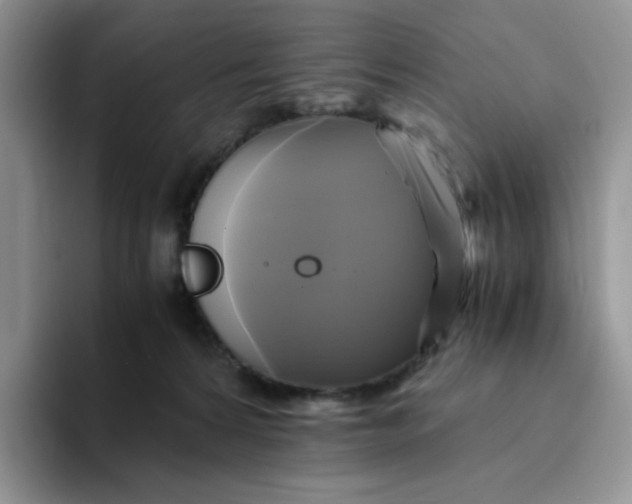 X0000094220224200711091302