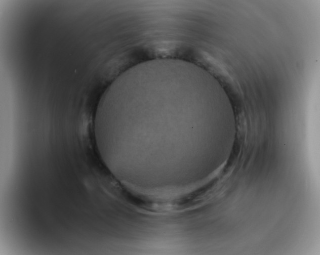 X0000094220225200711091302