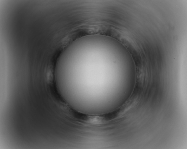 X0000094220226200711091302