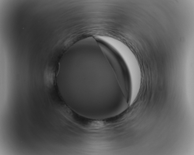 X0000094220227200711091302