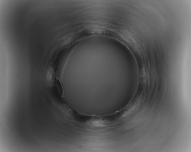 X0000094220228200711091302