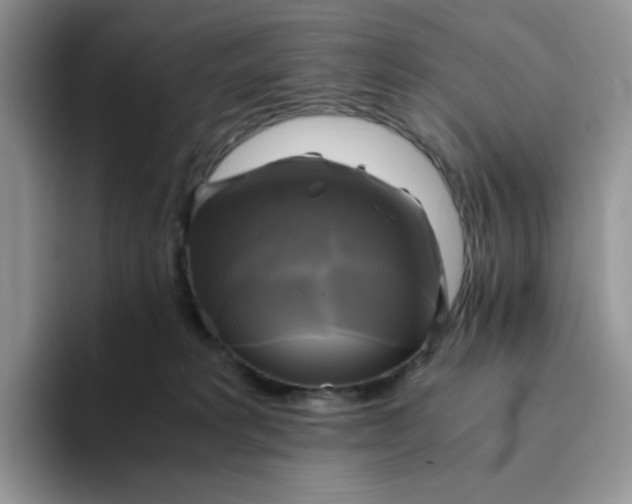 X0000094220229200711091302