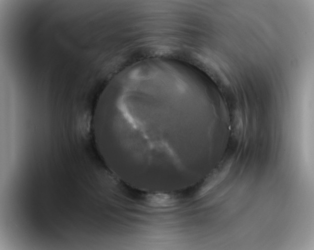 X0000094220230200711091302