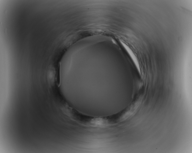 X0000094220231200711091302