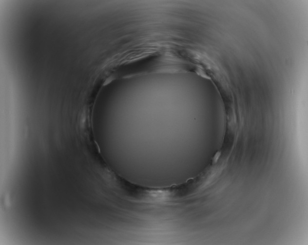 X0000094220233200711091302