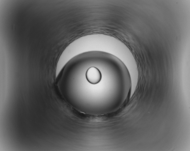 X0000094220235200711091302