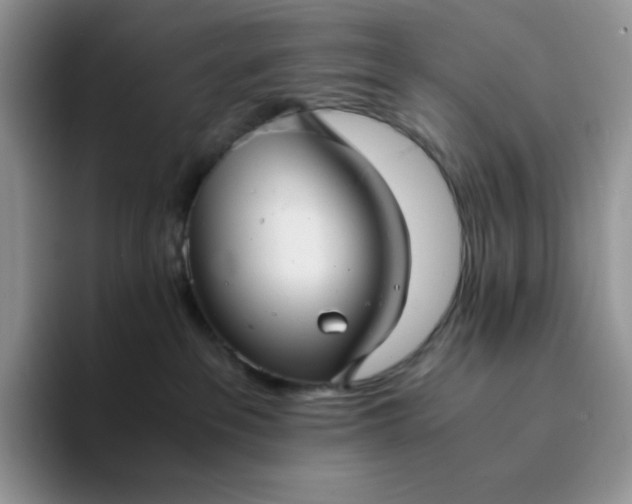 X0000094220237200711091302