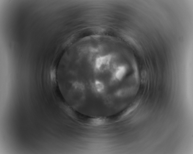 X0000094220238200711091302