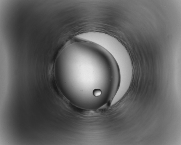 X0000094220239200711091302