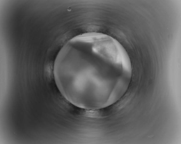 X0000094220240200711091302