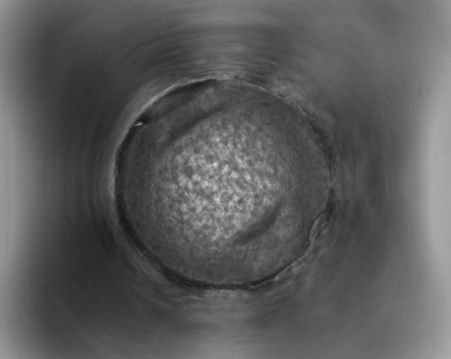 X0000094220242200711091301