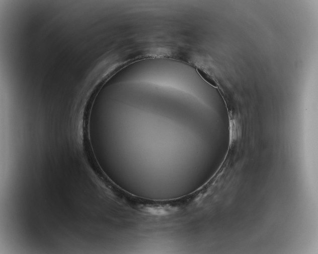 X0000094220243200711091301