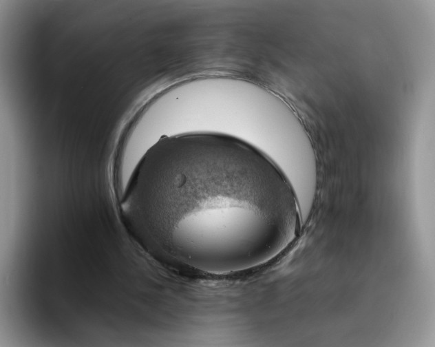 X0000094220244200711091301