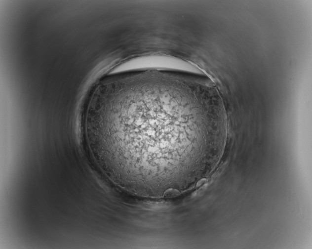 X0000094220245200711091301