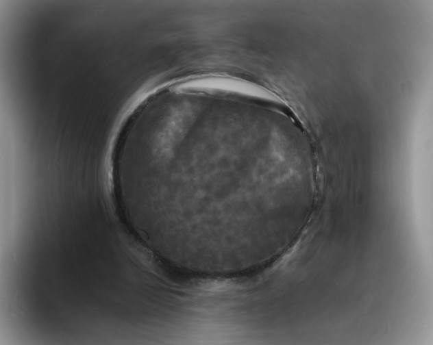 X0000094220246200711091301