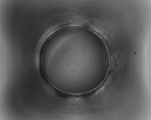 X0000094220247200711091301