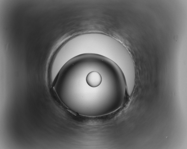 X0000094220248200711091301