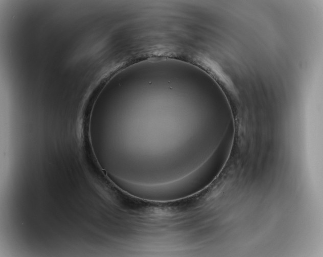 X0000094220250200711091301