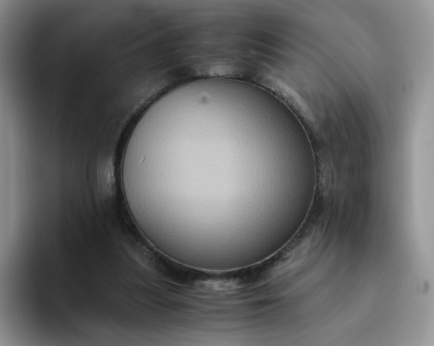 X0000094220251200711091301