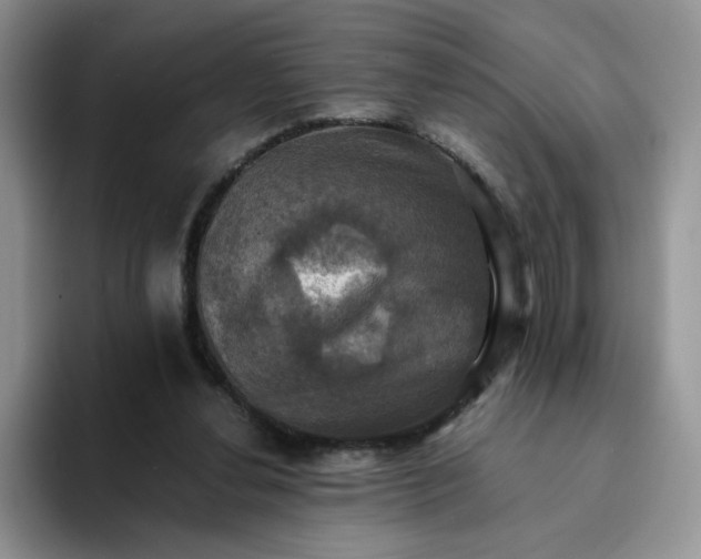 X0000094220252200711091301