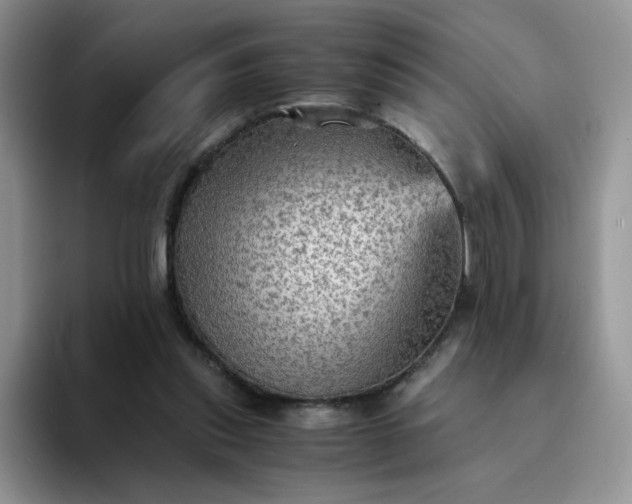 X0000094220253200711091301