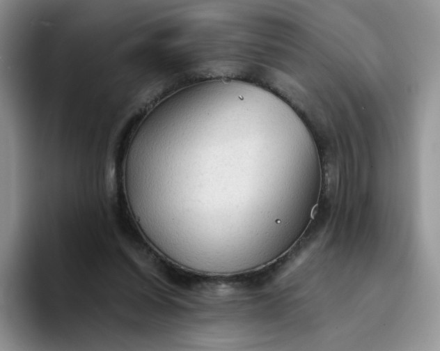 X0000094220254200711091301