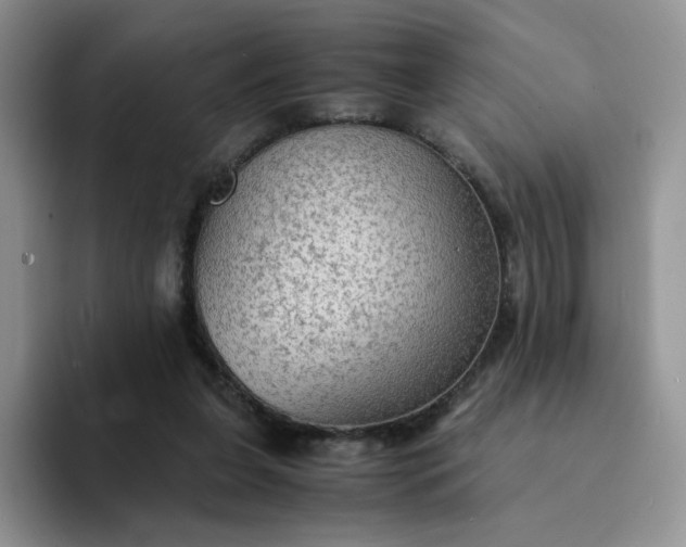 X0000094220255200711091301