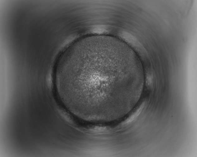 X0000094220256200711091301