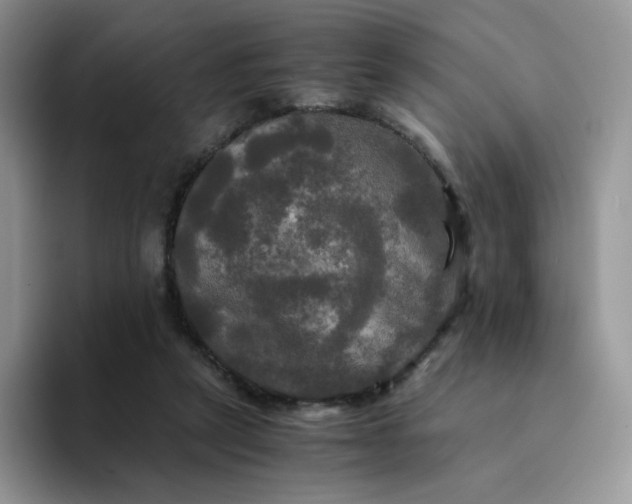 X0000094220257200711091301