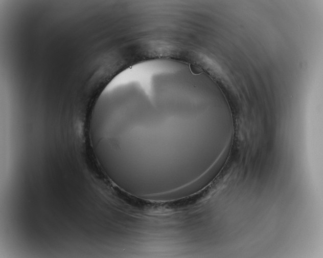 X0000094220258200711091301