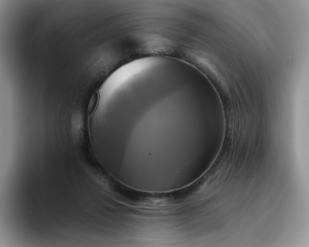 X0000094220260200711091301