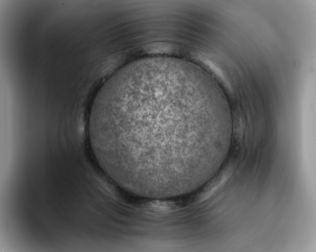 X0000094220261200711091301