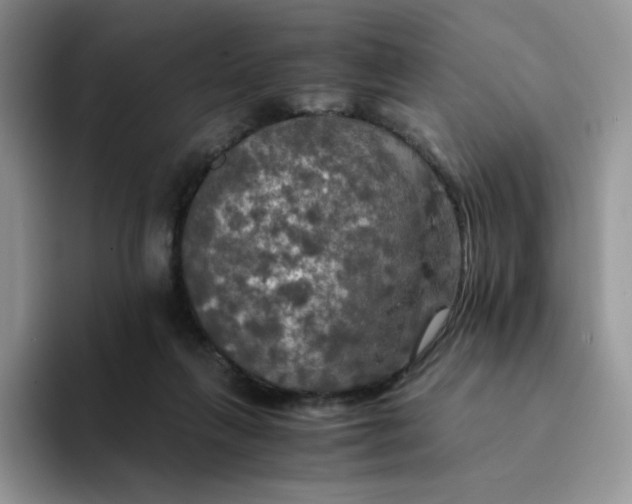 X0000094220263200711091301