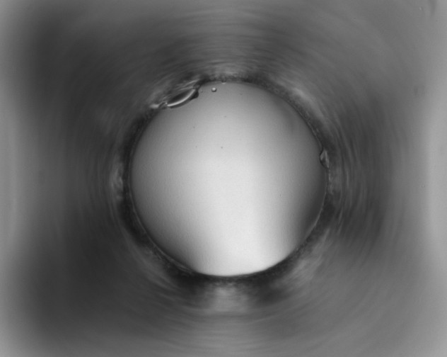 X0000094220264200711091301