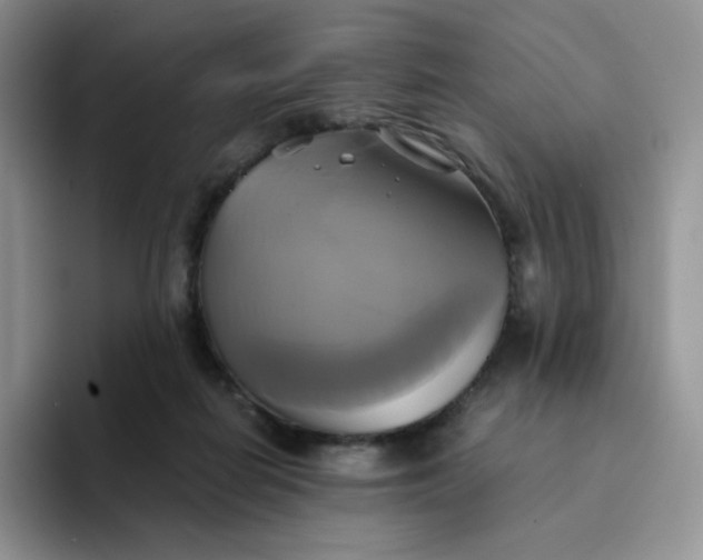 X0000094220266200711091301