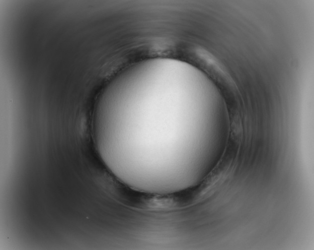 X0000094220270200711091301