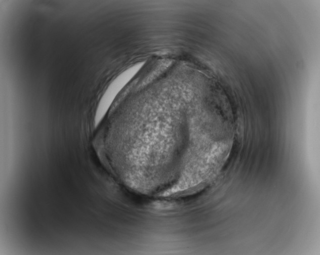 X0000094220272200711091301