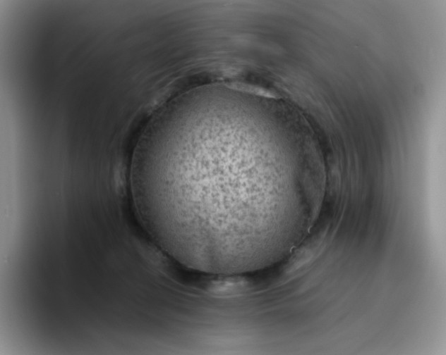 X0000094220274200711091301