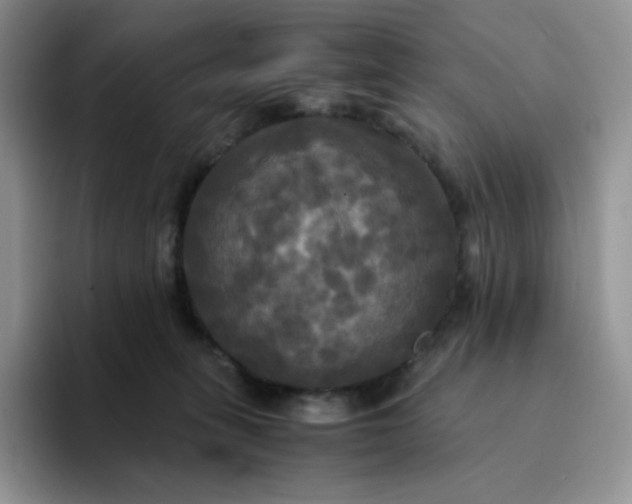 X0000094220275200711091301