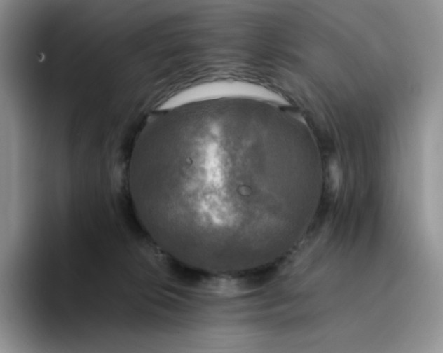 X0000094220276200711091301