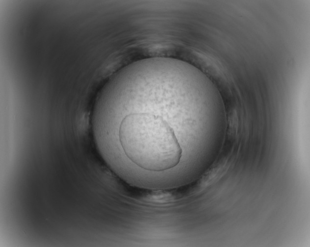 X0000094220278200711091301