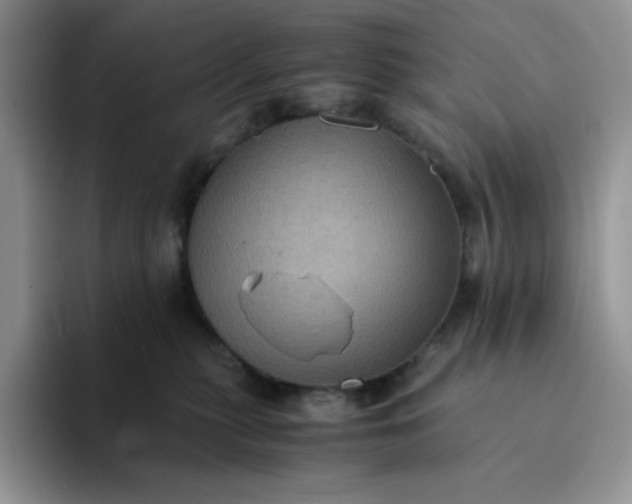 X0000094220279200711091301