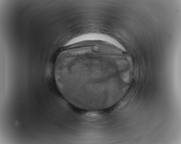 X0000094220280200711091301