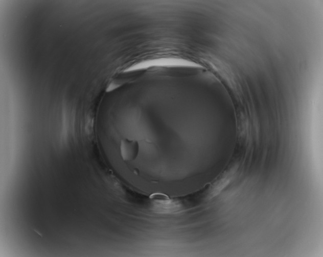 X0000094220281200711091301